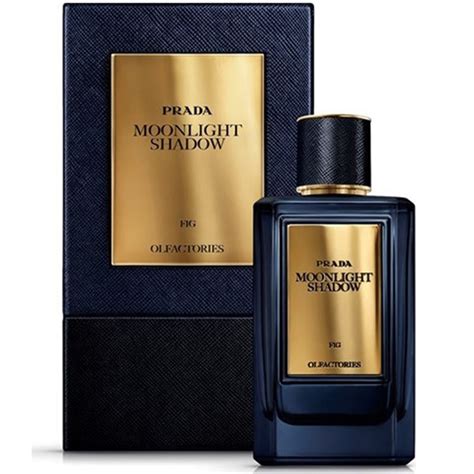 Prada Olfactories Moonlight Shadow Review 